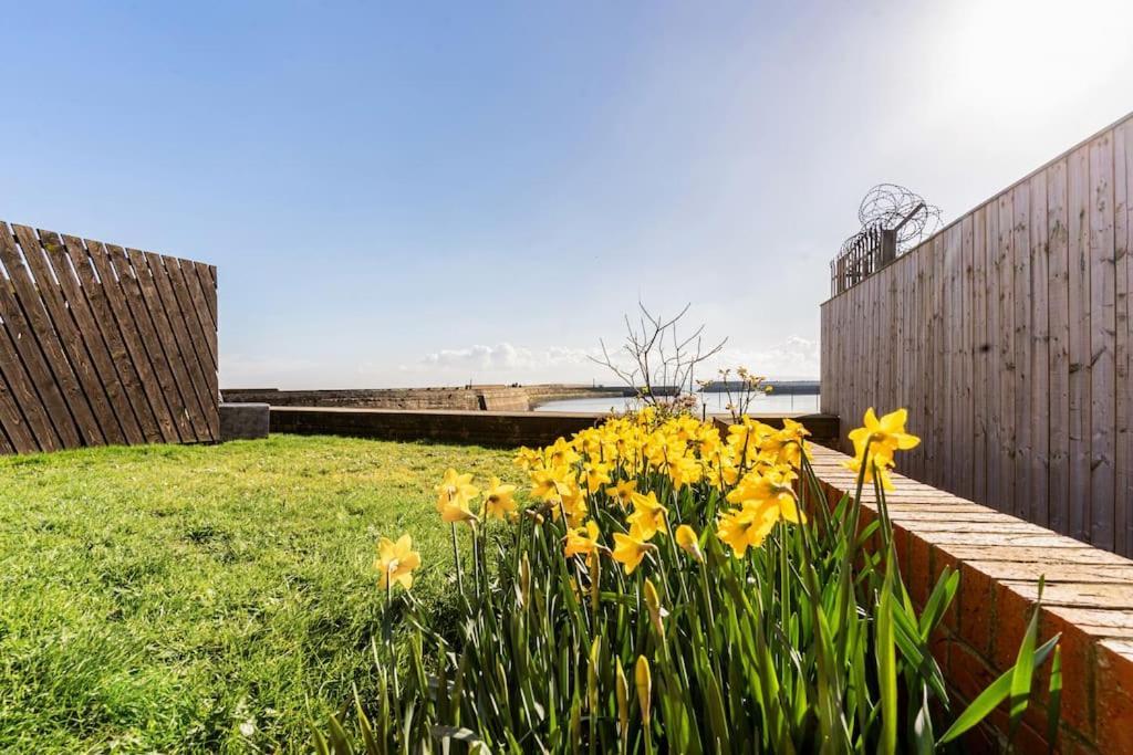 Stunning Ground Floor Hartlepool Marina Apartment מראה חיצוני תמונה